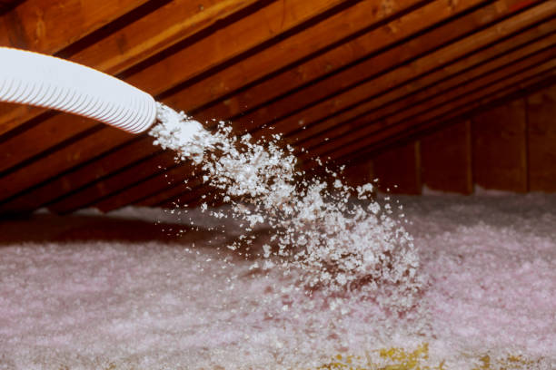 Best Insulation Maintenance and Repair in Osceola, IN
