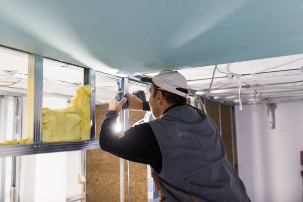 Best Cellulose Insulation in Osceola, IN
