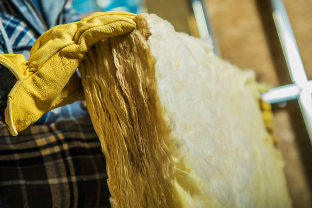 Best Specialized Insulation Services in Osceola, IN